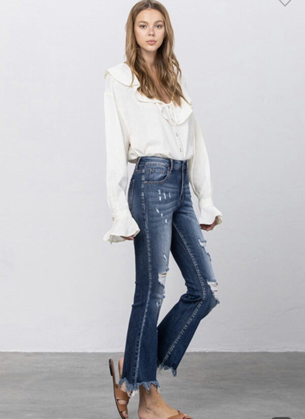 INSANE GENE DESTRUCTED CROP FLARE - Image 5