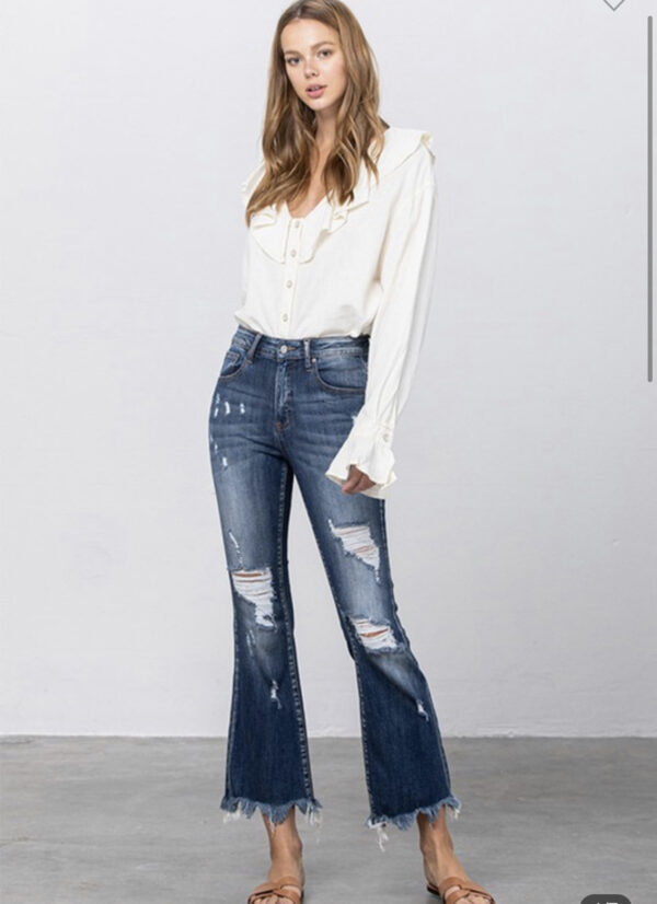 INSANE GENE DESTRUCTED CROP FLARE