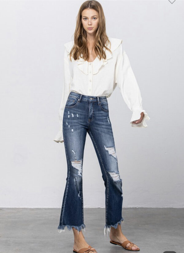 INSANE GENE DESTRUCTED CROP FLARE - Image 3
