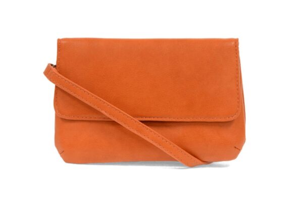 JOY SUSAN EVIE CROSSBODY ORGANIZER BAG