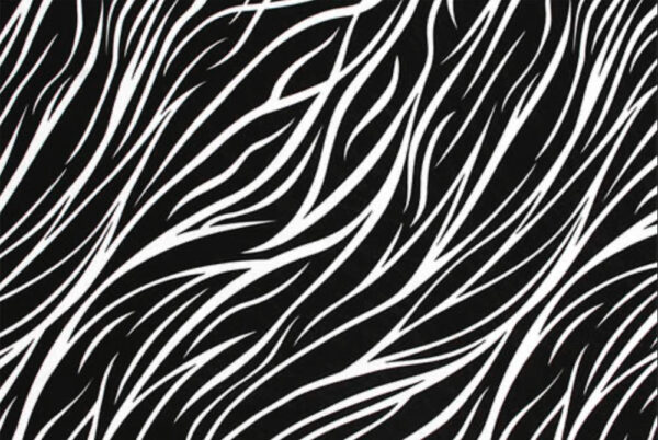 SOUTHERN LADY 3/4 SLEEVE ZEBRA PRINT TOP - Image 2