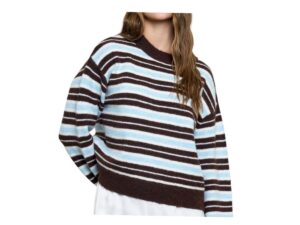 BLUPEPPER MULTI COLOR STRIPE CREWNECK SWEATER